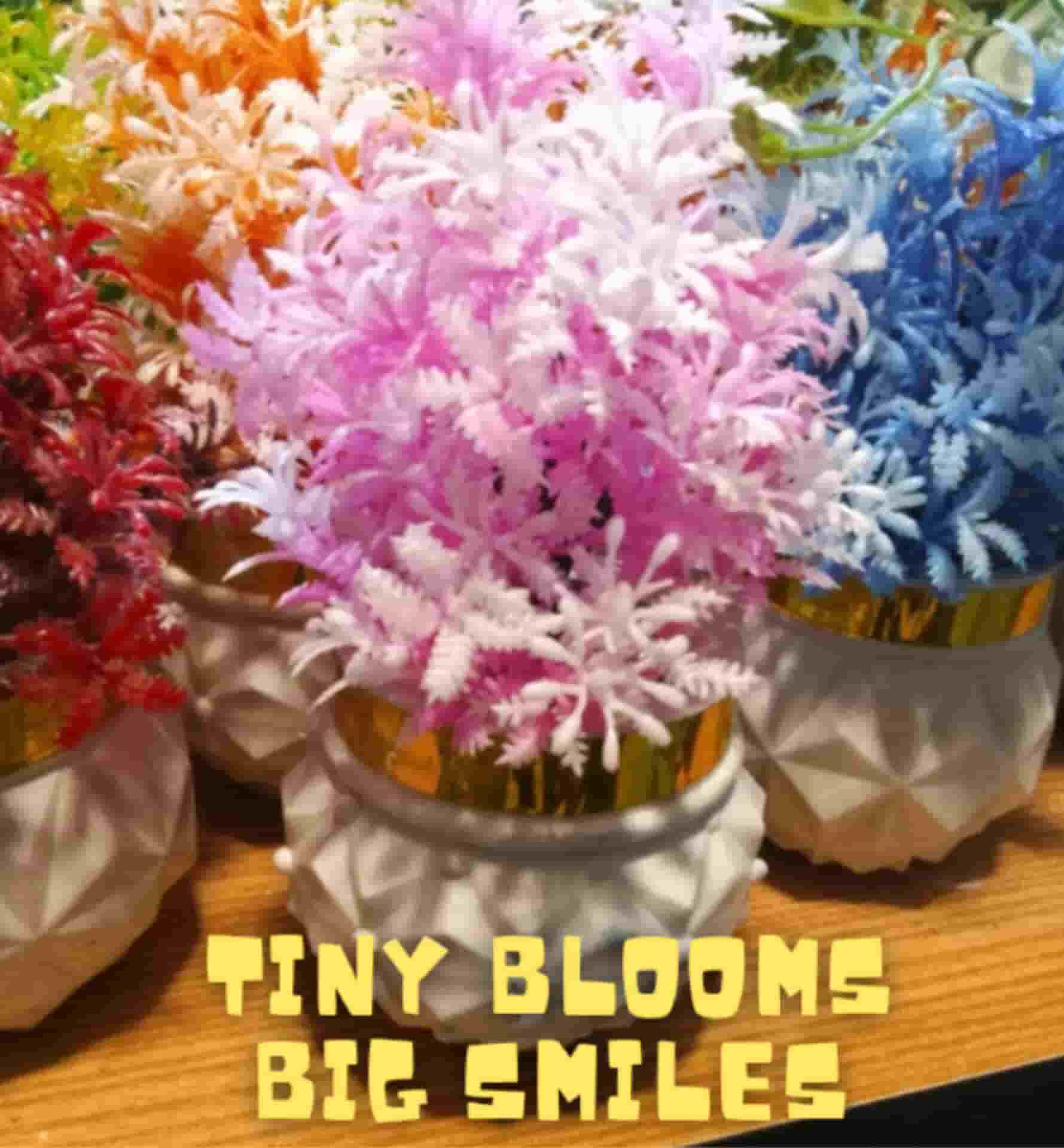 Minimalist Flower Pots